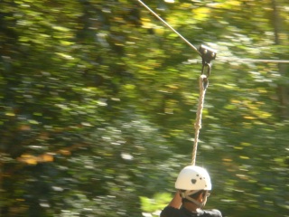 dsc02988