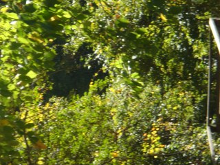 dsc03058